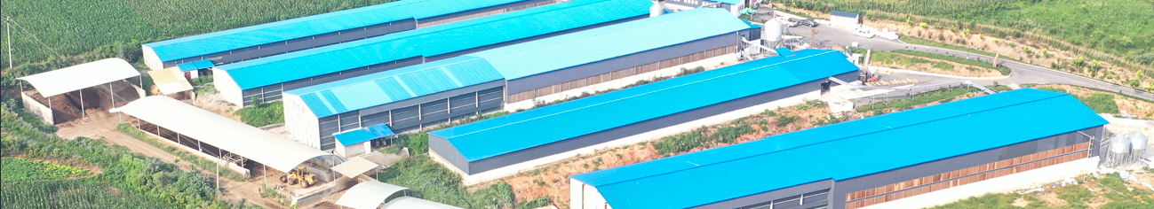 Factory - Chicken House Solutions