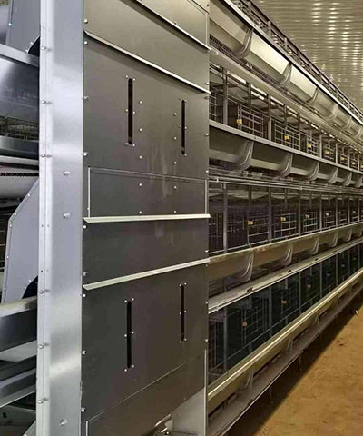 Luoto finished a turnkey project of 30,000 birds p