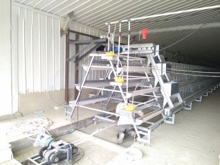 Luoto finished breeder chicken cage project in Wes