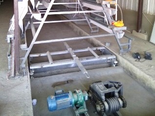 Luoto finished breeder chicken cage project in Wes