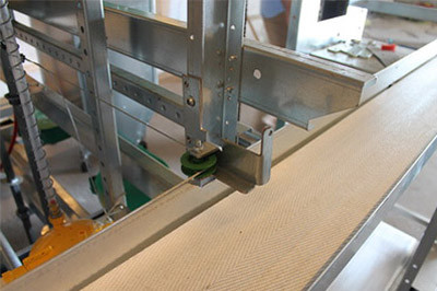 Luoto finished chicks and layers project of 20,000