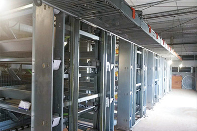 Luoto finished layer project of 34,000 birds with 