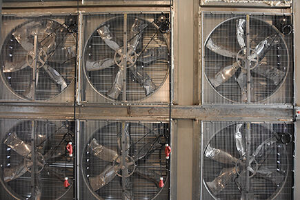 Luoto finished layer project of 49,280 laying hens