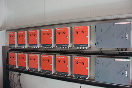 Luoto finished layer project of 49,280 laying hens