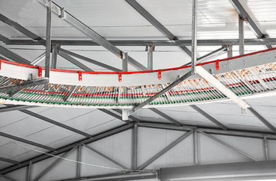 Luoto finished layer project of 60,000 birds in So