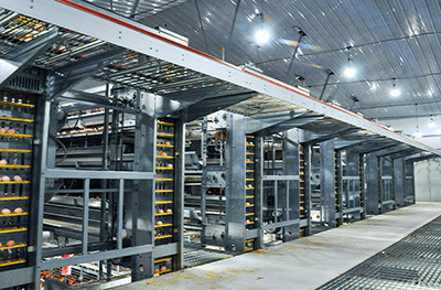 Luoto finished layer project of 60,000 birds in So