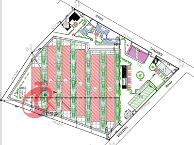 Best finished layer project of 100,000 birds in West Africa