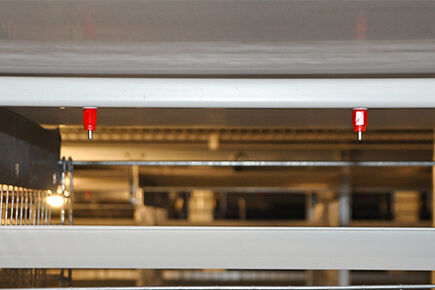 Luoto finished layer project of automatic chicken 