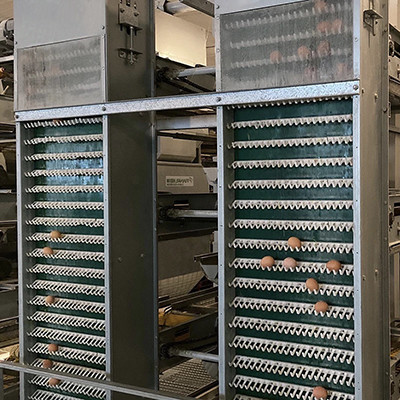 How poultry farm egg collection device works (2).J