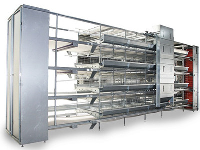 How to order for layer chicken cages according to 