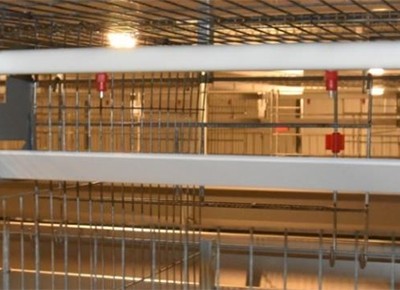 How to preventing battery cage from rusting in chi