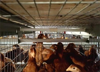 How to preventing battery cage from rusting in chi