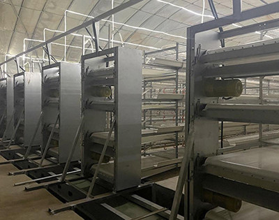 How to use farming broiler battery cage (4).jpg