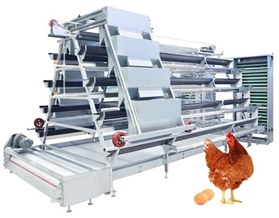 The advantages and disadvantages of chicken cage system of A-type and H-type The advantages and disadvantages of chicken cage system of A-type and H-type