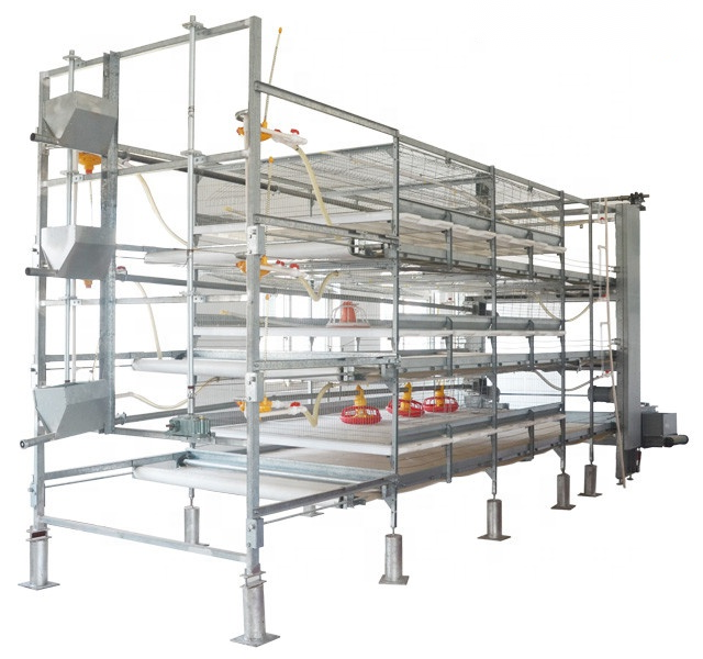 The development history and basic structure of chick broiler cage The development history and basic structure of chick broiler cage