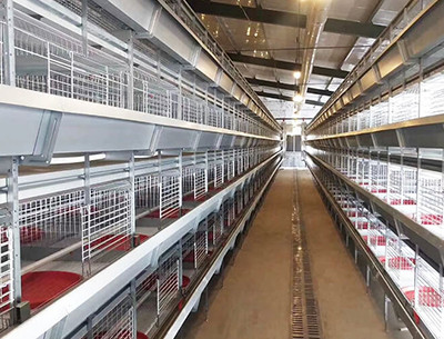 The development history and basic structure of chi