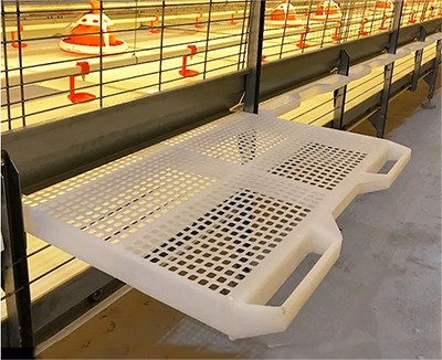 The efficiency of broiler cage in poultry farm (4 