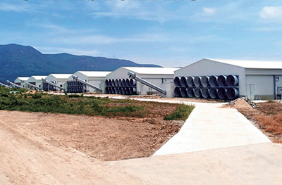 The requestment of buliding poultry house in poult