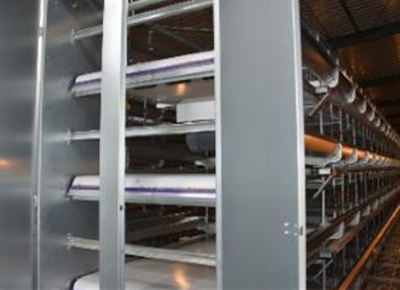 The types of manure remover matching chicken cage in poultry farm