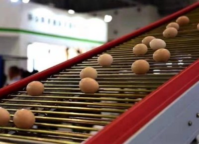 What is the demand of chicken cage for poultry far