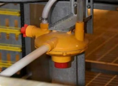 What is the demand of chicken cage for poultry far