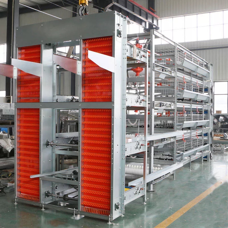 What is the galvanized poultry cage in poultry farm