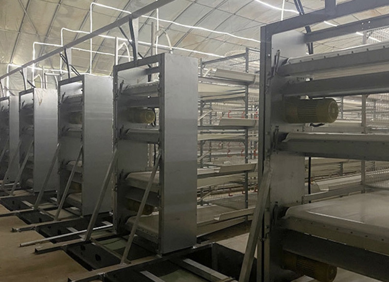 Breeder chicken cage (5).jpg Breeder chicken cage (5).jpg