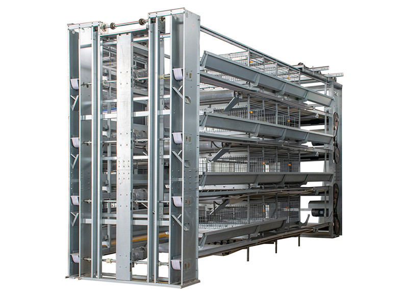 Pullet chicken cage (1).jpg