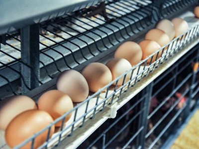 The size of egg layer chicken cage and battery cag