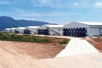 The requestment of buliding poultry house in poult