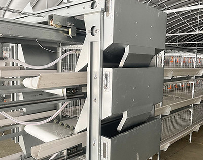 How to use farming broiler battery cage  (3).jpg