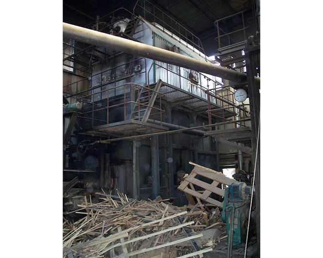 Biomass steam boiler