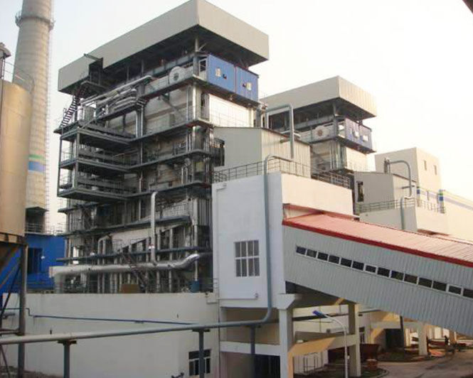 Biomass steam boiler