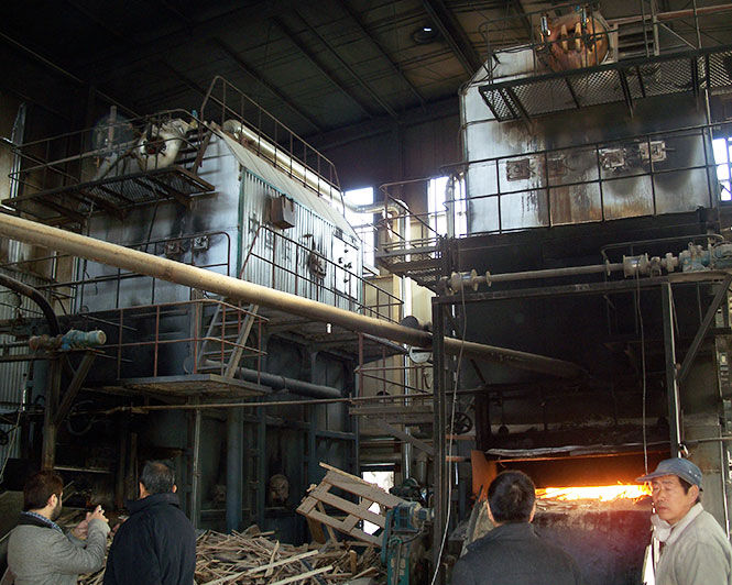 Biomass hot water boiler