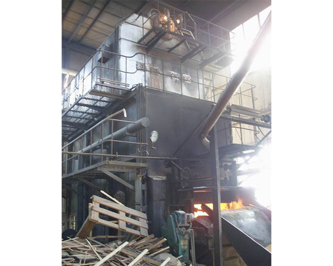 Biomass hot water boiler