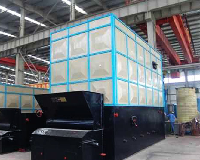 Coal/biomass fired thermal fluid boiler