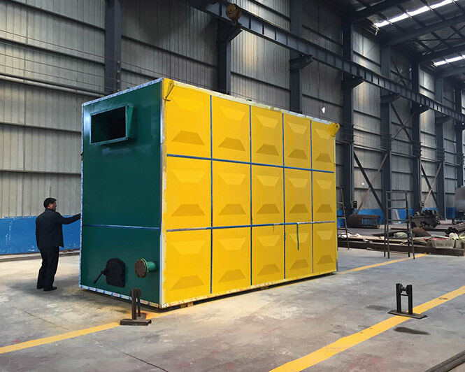 Coal/biomass fired thermal fluid boiler