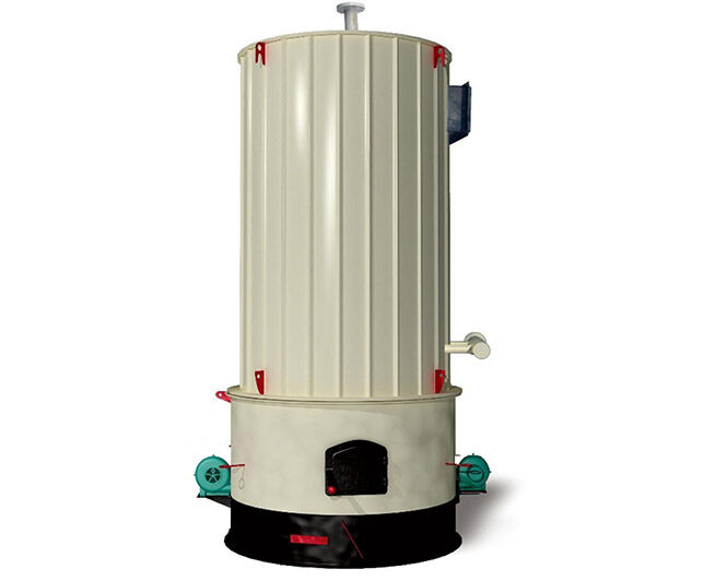 Coal/biomass fired thermal fluid boiler