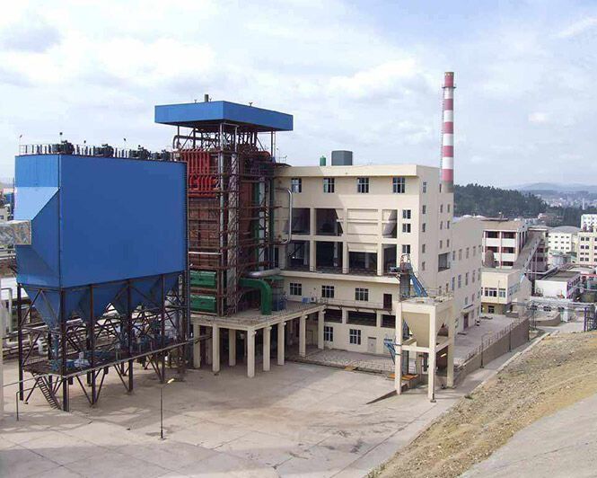 Circulating Fluid Bed Boiler