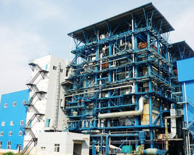 Coal fired steam boiler