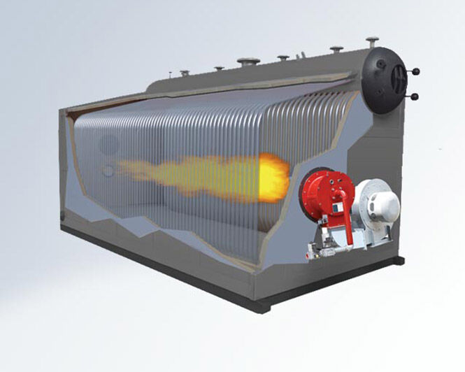 Oil/gas fired steam boiler