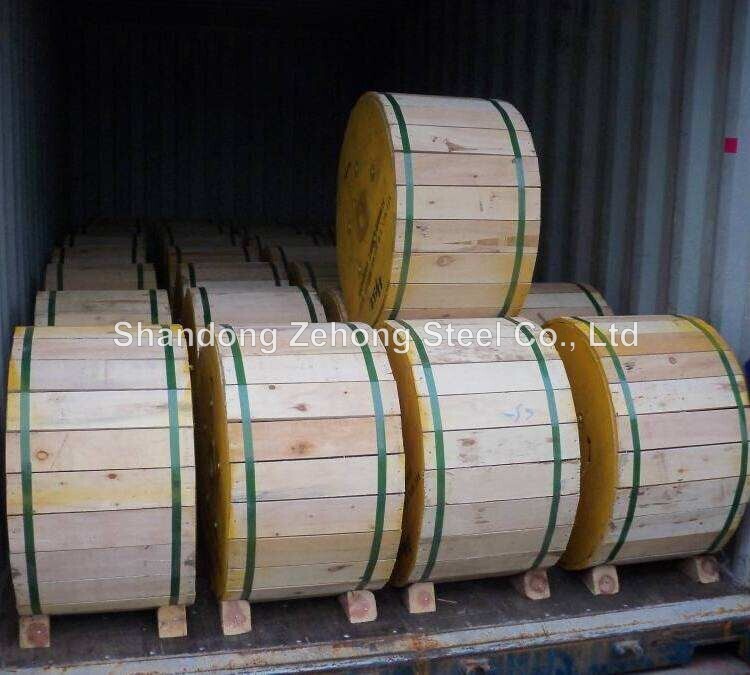 Hot Sale Factory Wholesale SAE1008 SAE1010 Q195 Q235 carbon steel wire