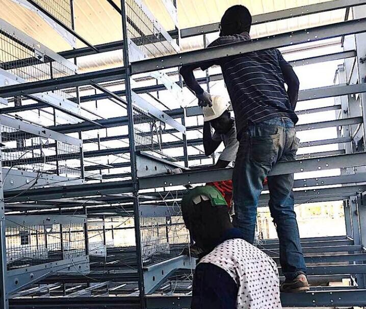 Local supplier of benefits of h type chicken layer cage and features often has larger capacity and accommodates more birds