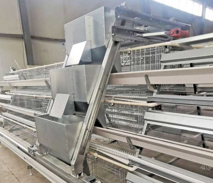 Why are layer battery cage used in poultry farm help improve productivity and make tasks like feeding