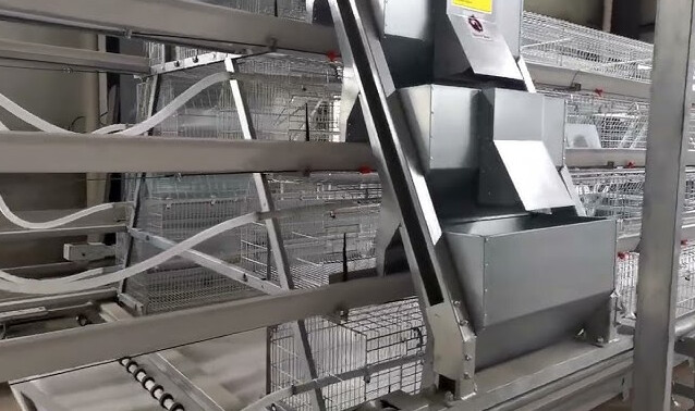 Types of broiler battery cages are modern housing systems designed for efficient and organised broiler chicken farming