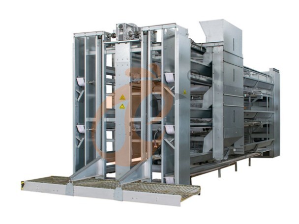 Automatic H Type Layer Battery Cage System