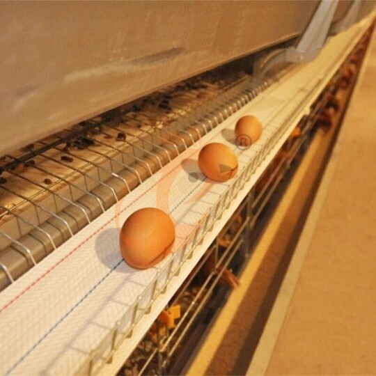 Layer battery cage system (8)