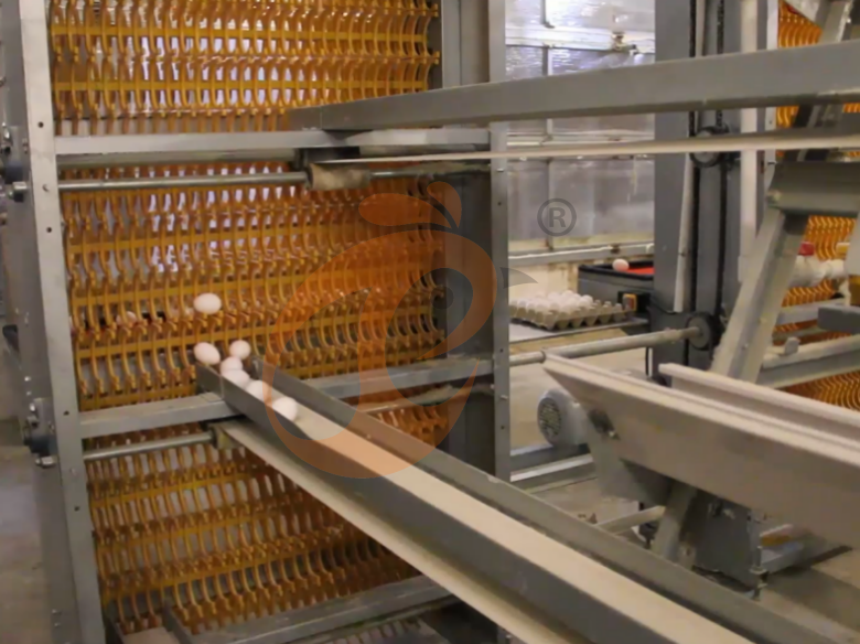 Automatic A Type Layer Battery Cage System