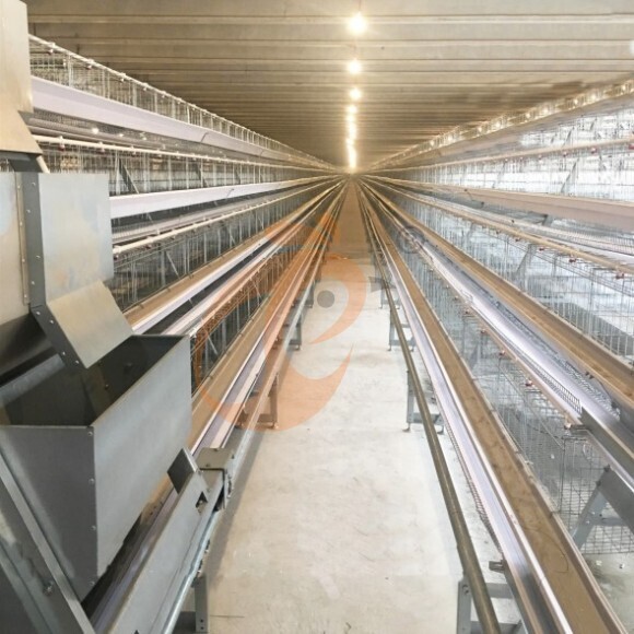 layer battery cage system (1) layer battery cage system (1)