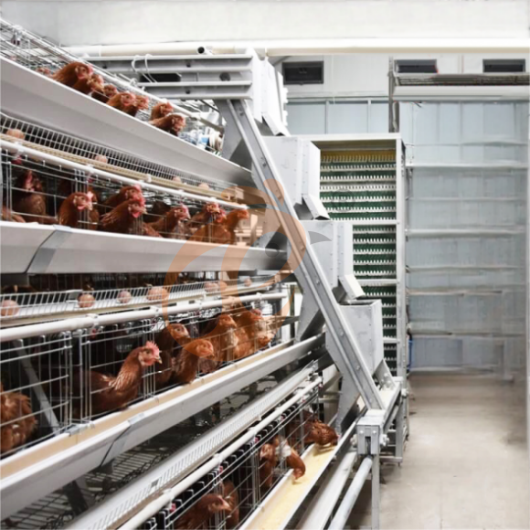 layer battery cage system (15)